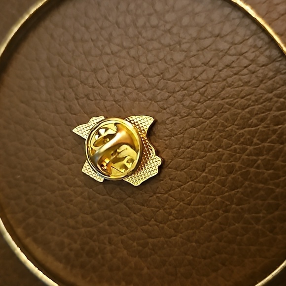 Dainty Hammered Thin Texas State Bracelet and Lapel Pin - Picture 5 of 5